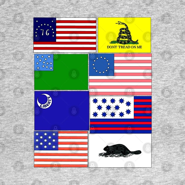 Flags of the Revolution Back Print by Aeriskate